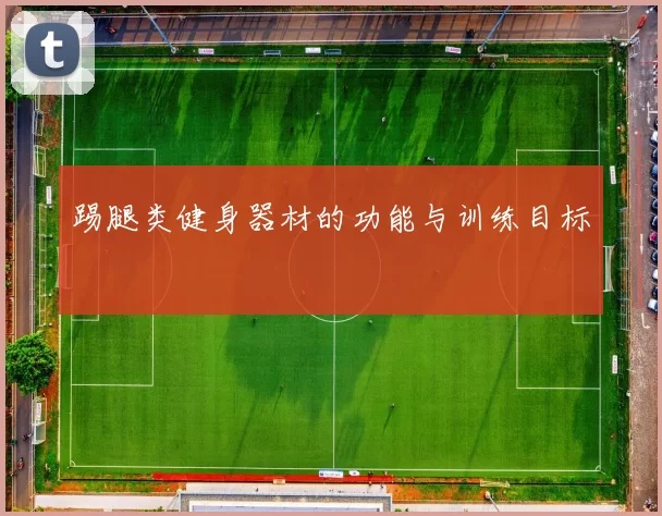 踢腿类健身器材的功能与训练目标