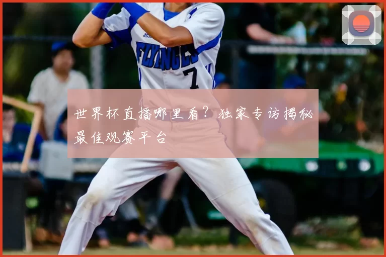 世界杯直播哪里看？独家专访揭秘最佳观赛平台