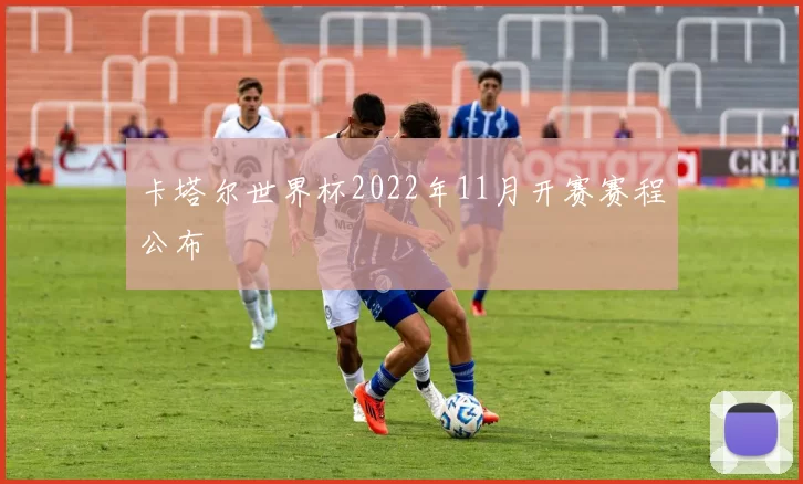 卡塔尔世界杯2022年11月开赛赛程公布