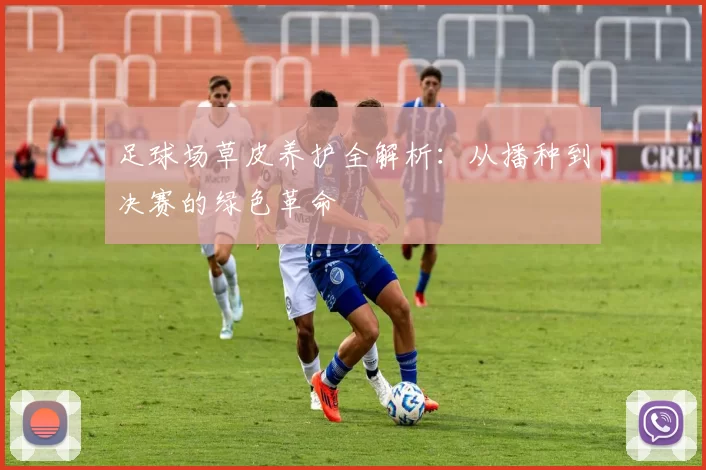 足球场草皮养护全解析：从播种到决赛的绿色革命