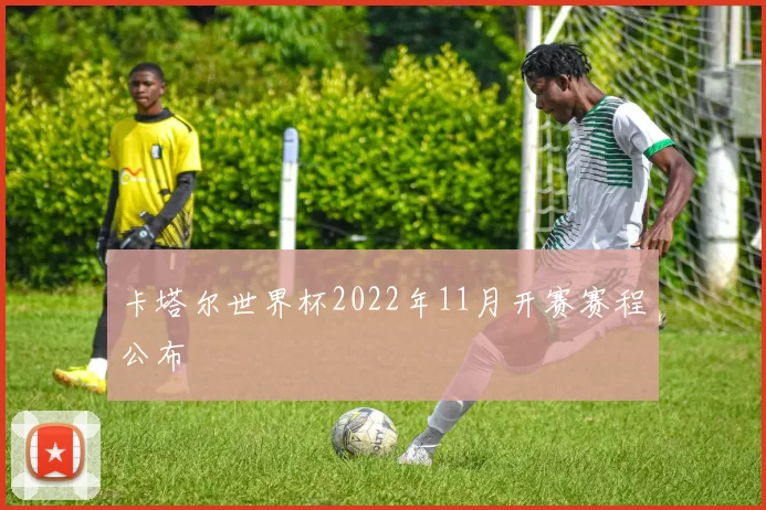 卡塔尔世界杯2022年11月开赛赛程公布