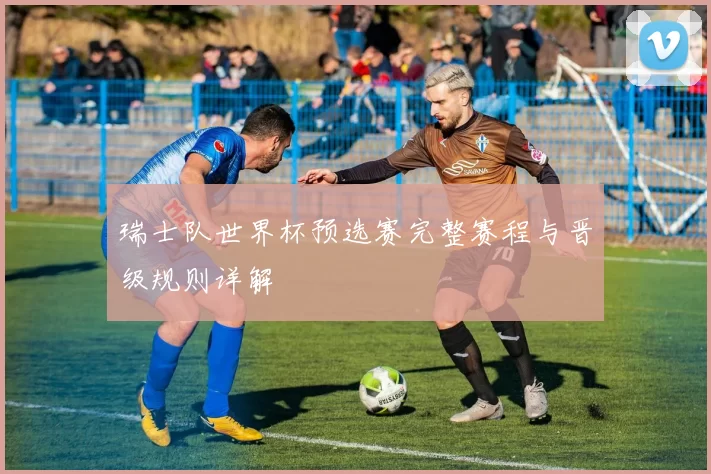 瑞士队世界杯预选赛完整赛程与晋级规则详解
